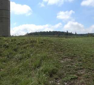 Burgruine Niederhaus