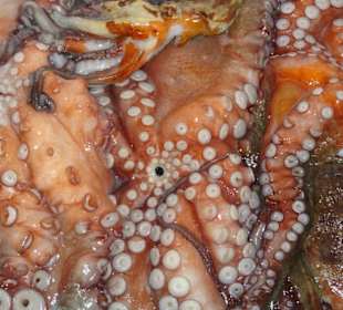 Impressionen aus dem Mercato Civico von Alghero