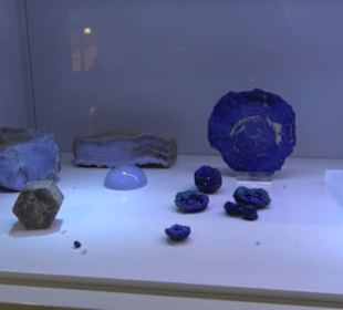 Museum Natur und Mensch