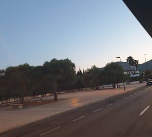 Stadtrundfahrt Alcudia