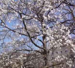 Botanischer Garten