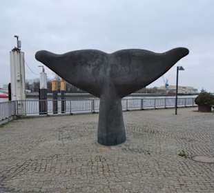 Ansichten der Vegesacker Wal-Schwanzflosse