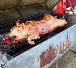 Arme Sau auf dem Grill