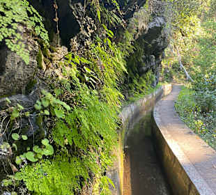 Levadas in Rabaçal