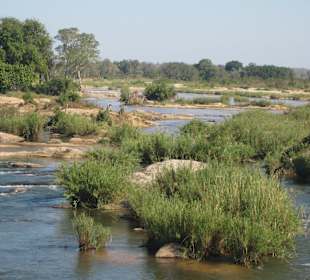 Krüger Nationalpark