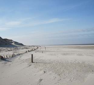 Amrum, Westseite, Strand- und Dünenbereich