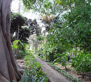 Botanischer Garten 