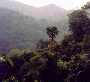 Kaeng Krachan