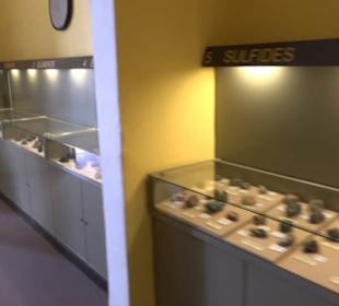 Naturhistorisches Museum