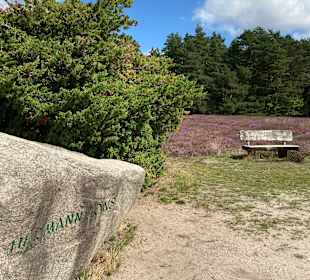 Wandern Bad Bevensen