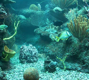 Natur- und Erlebnispark Xcaret