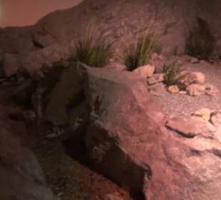 Alles für Nase und Gaumen