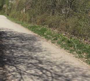 Sport- und Freizeitpark Markwasen