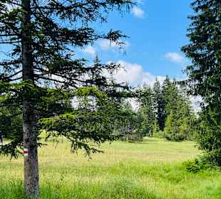 Lenzerheide Wandern