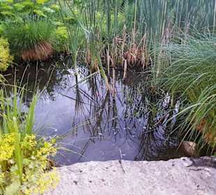 Kleiner Teich im Kurpark