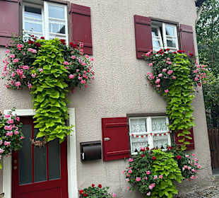 Altstadt Dinkelsbühl