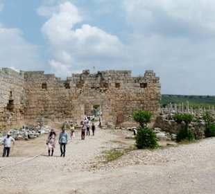 Eingang mit Mauertor