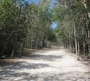 Der staubige Weg zur Pyramide