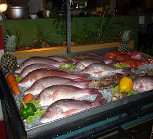 Tägliche gute Frischfischauswahl