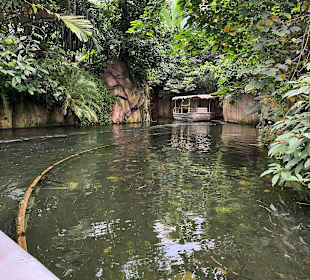 Wildlands Zoo in Emmen 