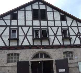 Haupt- und Landgestüt Marbach