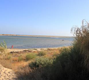 Blick in das Naturschutzgebiet