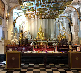 Hochland von Sri Lanka