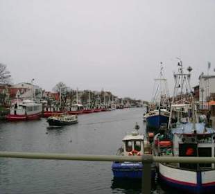 Immer am Alten Strom entlang