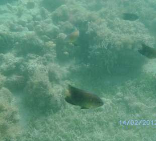 Gibt nicht viel zu sehen!