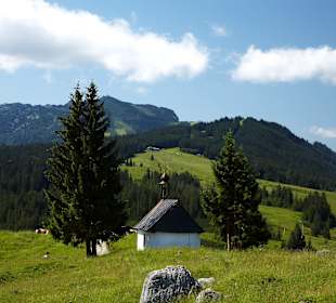 Winklmoos-Alm im Sommer