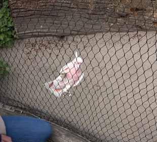 Zoologischer Stadtgarten