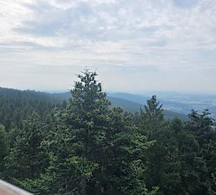 Ausblick