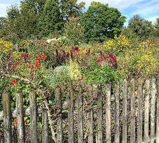 Wandern Frauenchiemsee