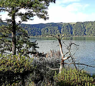 Furnassee