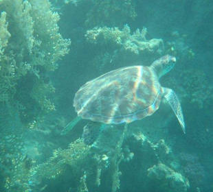 Alle Bilder an einem Tag!