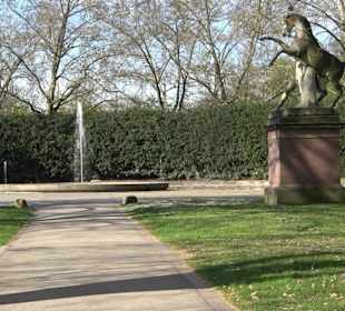 Historische Platanenallee im Unteren Schloßgarten