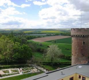 Blick auf die Zülpicher Börde