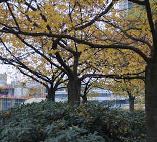 Parkanlage Planten un Blomen