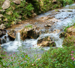 Wandern Miesenbach bei Birkfeld
