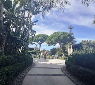 Botanischer Garten Villa Bellini