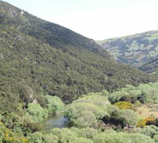 Mit der Taieri Railway durch die Natur Neuselands