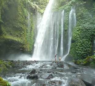 Wasserfall bei Senaru