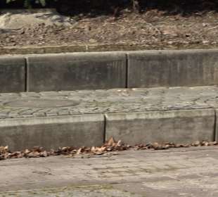 Unterer Schlossgarten Stuttgart