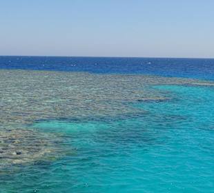 Hier wurde geschnorchelt