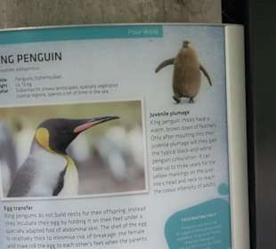 Tierpark Hellabrunn - Polarwelt