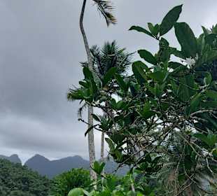 Parque Natural Obô do Príncipe