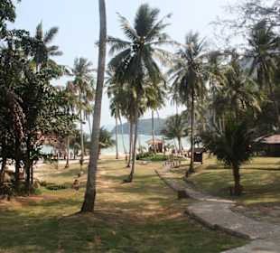 Camp auf einer Insel