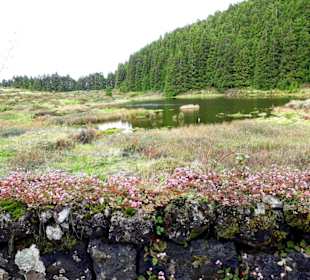 Inselrundfahrt Terceira