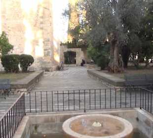 Jardines de Joan March
