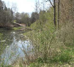 Totenbachsee